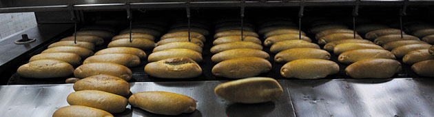 food-processing food-processing