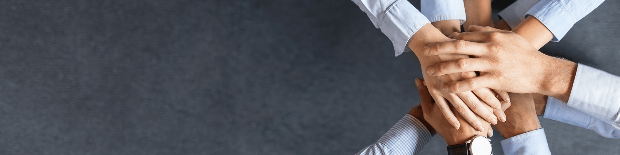 SPT Integrity &amp;amp; Compliance